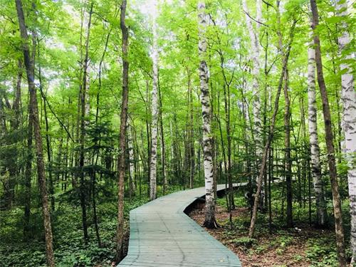 五一“森呼吸” 來場“洗肺”之旅！.jpg